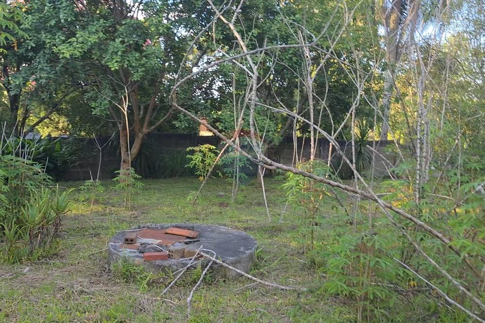 Terreno - Venda - Pinhais , Paraná - 3.jpg - 560501001-19