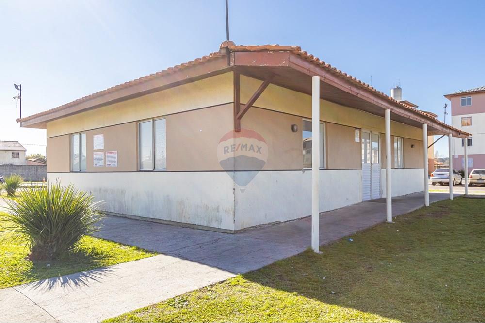 Apartamento - Venda - São José dos Pinhais , Paraná - IMG_3096_1.jpg - 560411055-29