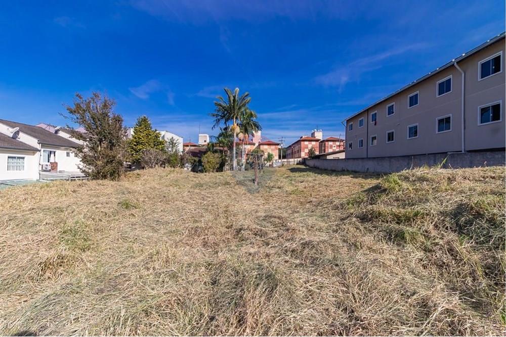 Terreno - Venda - Curitiba , Paraná - afH5Npjg.jpeg - 560441003-37