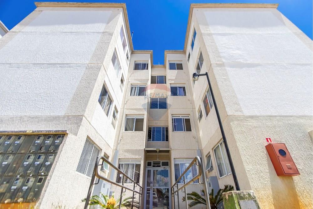 Apartamento - Venda - São José dos Pinhais , Paraná - Fotografia Sheep House - IMG_9637_1.jpg - 560441026-16