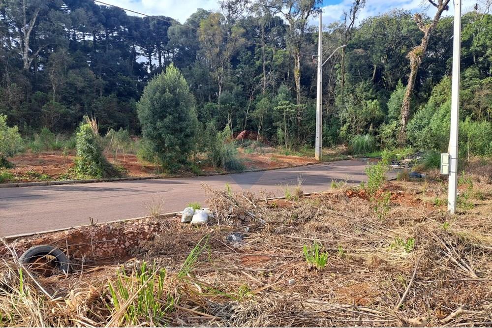 Terreno - Venda - Fazenda Rio Grande , Paraná - WhatsApp Image 2025-08-29 at 19.16.51.jpeg - 560441032-9