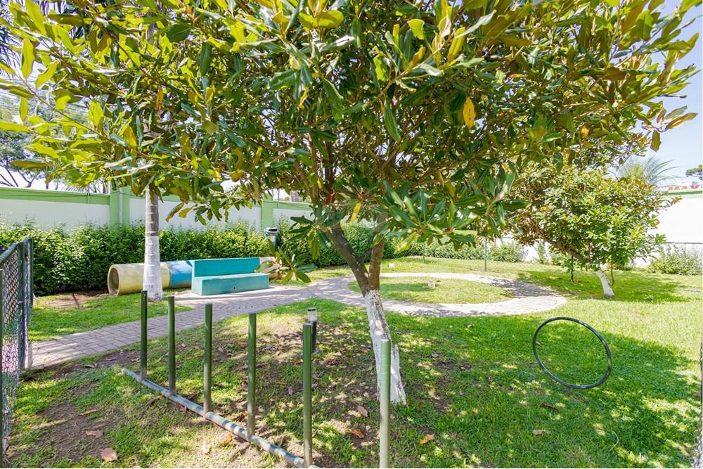 Apartamento - Venda - Curitiba , Paraná - IMG_4376.jpg - 560311077-8