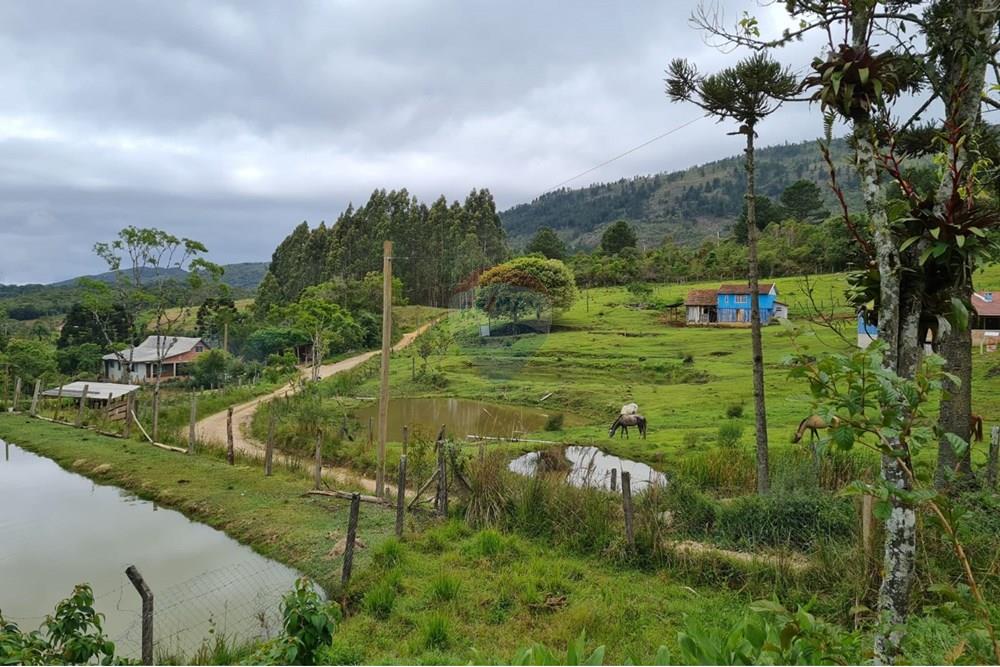 Chácara / Sítio / Fazenda - Venda - Tijucas do Sul , Paraná - 6afa2ae1-fd86-4287-b533-a77b931658a0.jpeg - 560391051-16