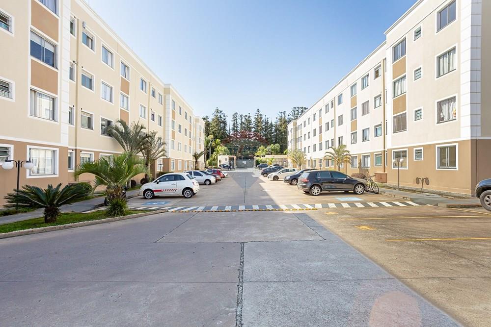 Apartamento - Venda - São José dos Pinhais , Paraná - IMG_5369.jpg - 560481004-31