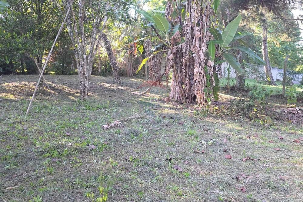 Terreno - Venda - Pinhais , Paraná - 6.jpg - 560501001-19