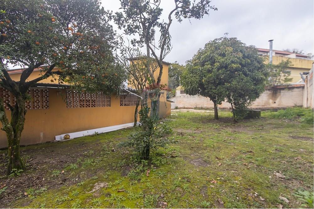 Terreno - Venda - Curitiba , Paraná - IMG_0807.jpg - 560331080-11