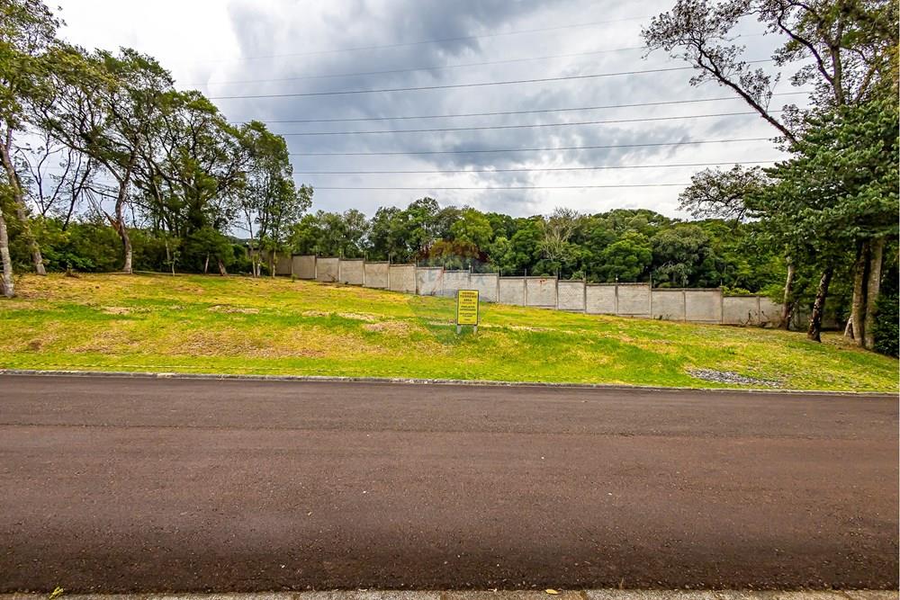 Terreno - Venda - Curitiba , Paraná - SHEEP - IMG_2559_1.jpg - 560341101-20