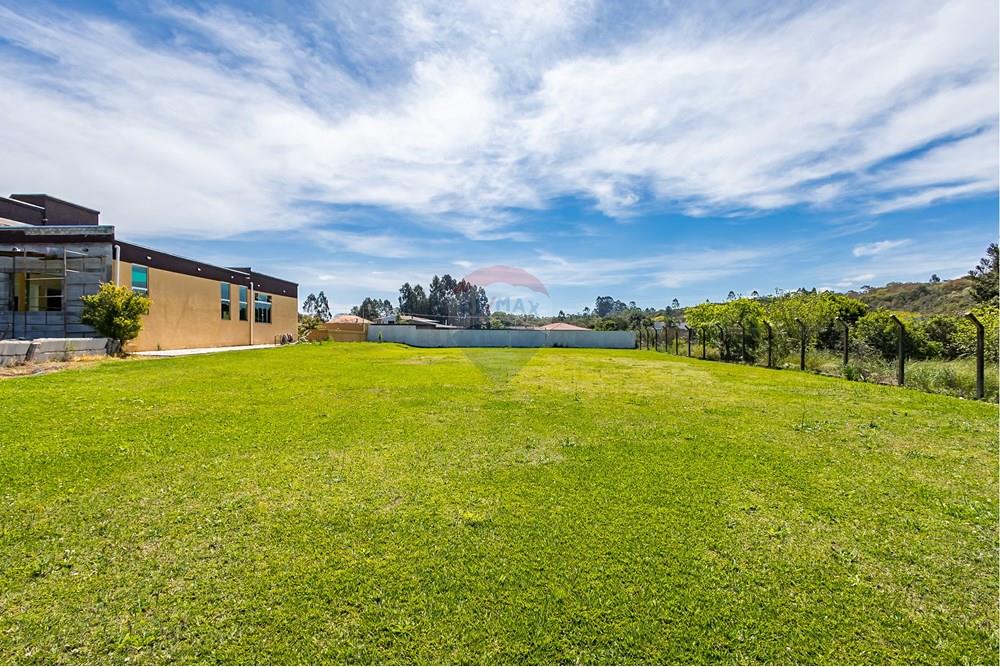 Chácara / Sítio / Fazenda - Venda - Campina Grande do Sul , Paraná - IMG_4599.jpg - 560411009-91