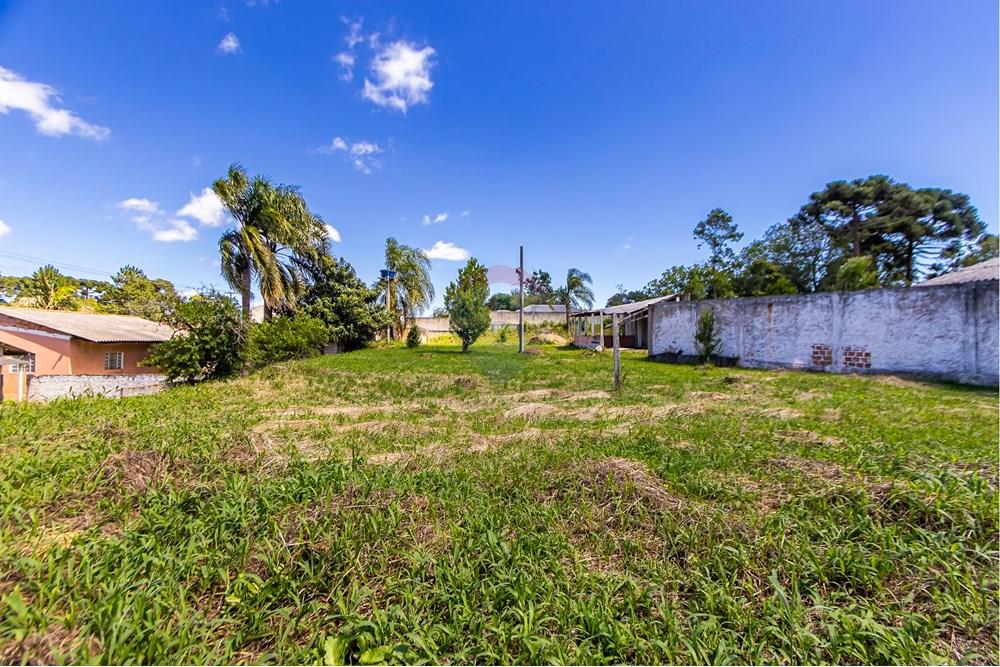 Terreno - Venda - São José dos Pinhais , Paraná - IMG_7252.JPG - 560391051-19