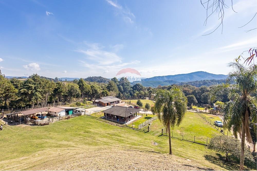 Chácara / Sítio / Fazenda - Venda - Campo Largo , Paraná - F (29).jpg - 560351150-1