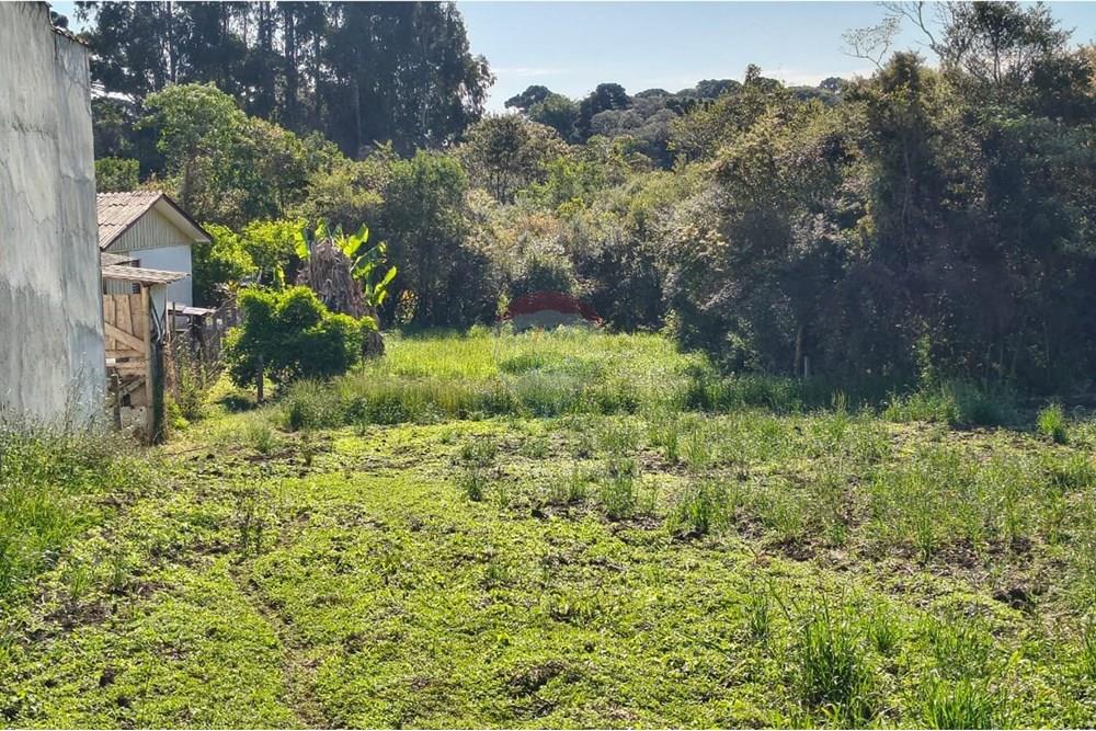 Terreno - Venda - Campo Largo , Paraná - WhatsApp Image 2025-10-06 at 22.00.41.jpeg - 560351155-5