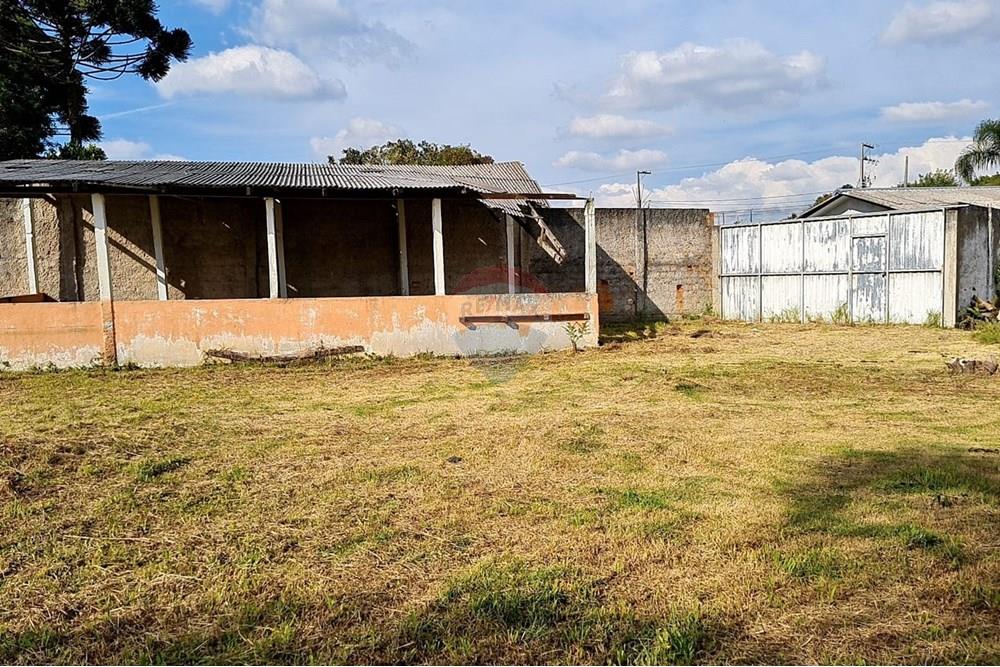 Terreno - Venda - São José dos Pinhais , Paraná - 35e73fba-b0ad-4a62-ae14-e1b156859c21.jpeg - 560391051-19