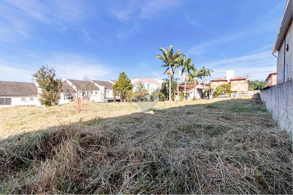 Terreno - Venda - Curitiba , Paraná - NGZnojTQ.jpeg - 560441003-37