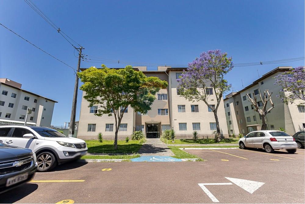 Apartamento - Venda - São José dos Pinhais , Paraná - IMG_0054.jpg - 560351119-27