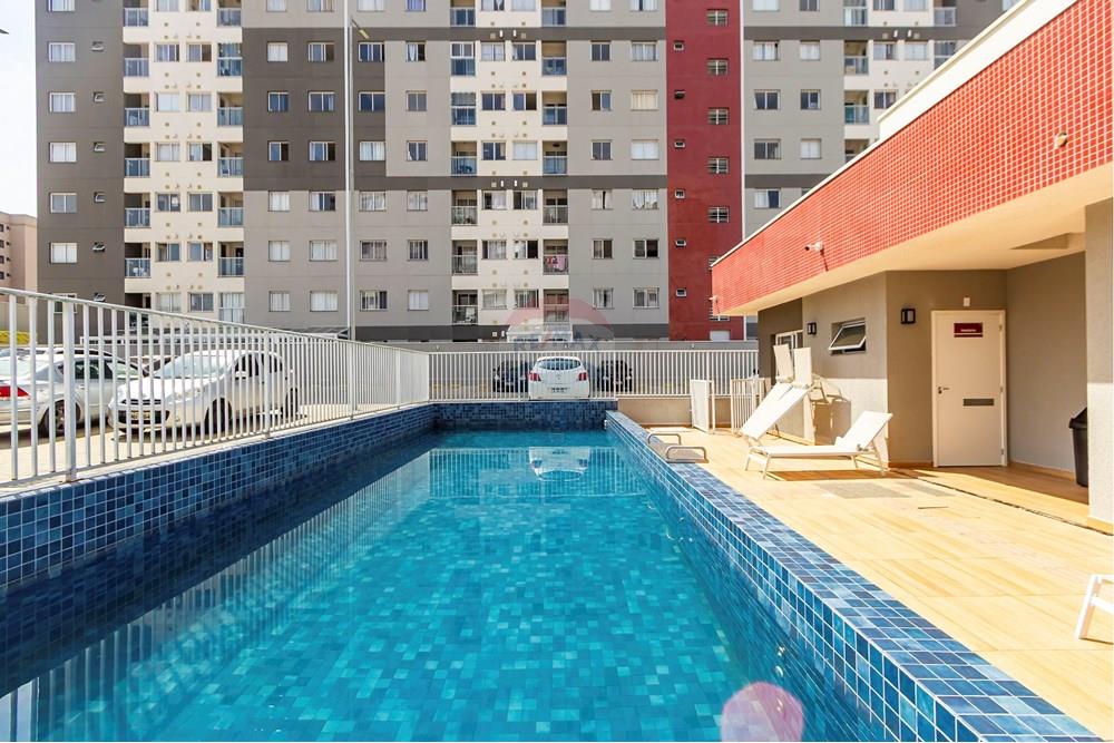 Apartamento - Alugar - São José dos Pinhais , Paraná - IMG_5481_1.jpg - 560411051-204