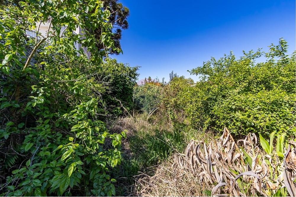 Terreno - Venda - Curitiba , Paraná - IMG_7340.jpg - 560341040-21