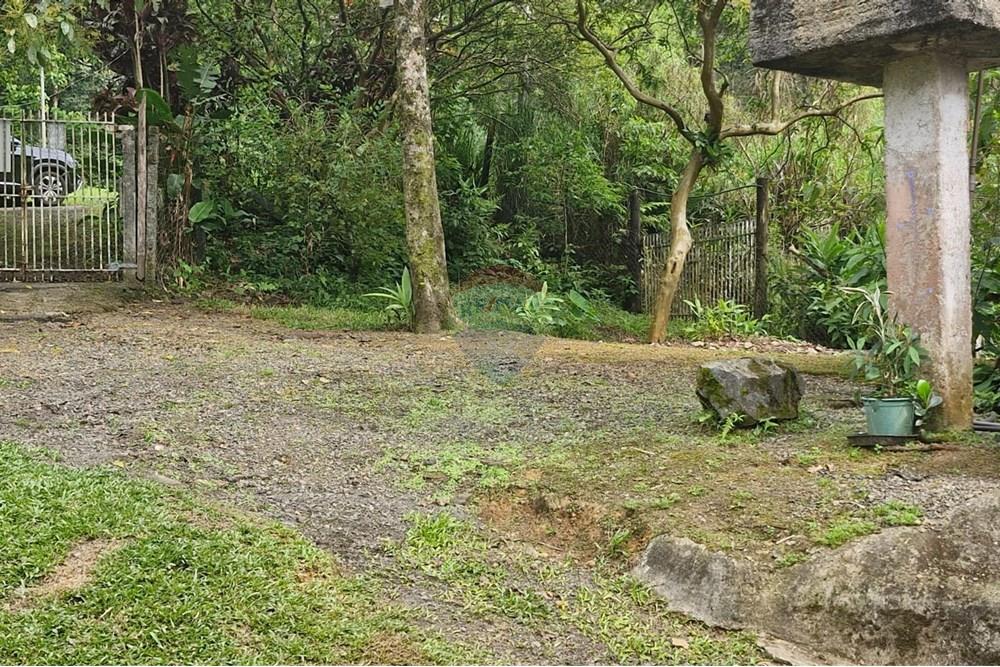 Chácara / Sítio / Fazenda - Venda - Guaratuba , Paraná - IMG-20251026-WA0018.jpg - 560321090-38