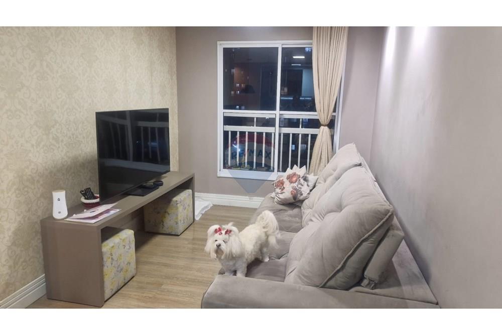 Apartamento - Venda - Curitiba , Paraná - WhatsApp Image 2025-09-08 at 00.32.15 (1).jpeg - 560251045-63