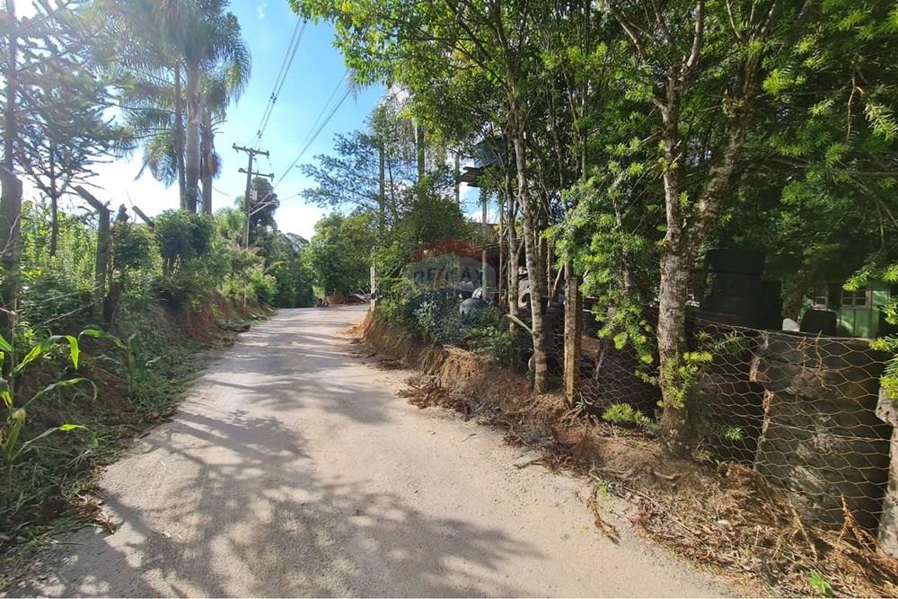 Galpão - Venda - São José dos Pinhais , Paraná - 64be5729-f20e-4bdb-8719-8693f504a4d7.jpeg - 560331128-20