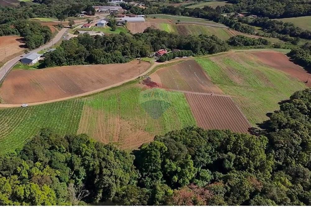 Chácara / Sítio / Fazenda - Venda - São José dos Pinhais , Paraná - fotos da chacara colonia malhada.jpg - 560321160-2
