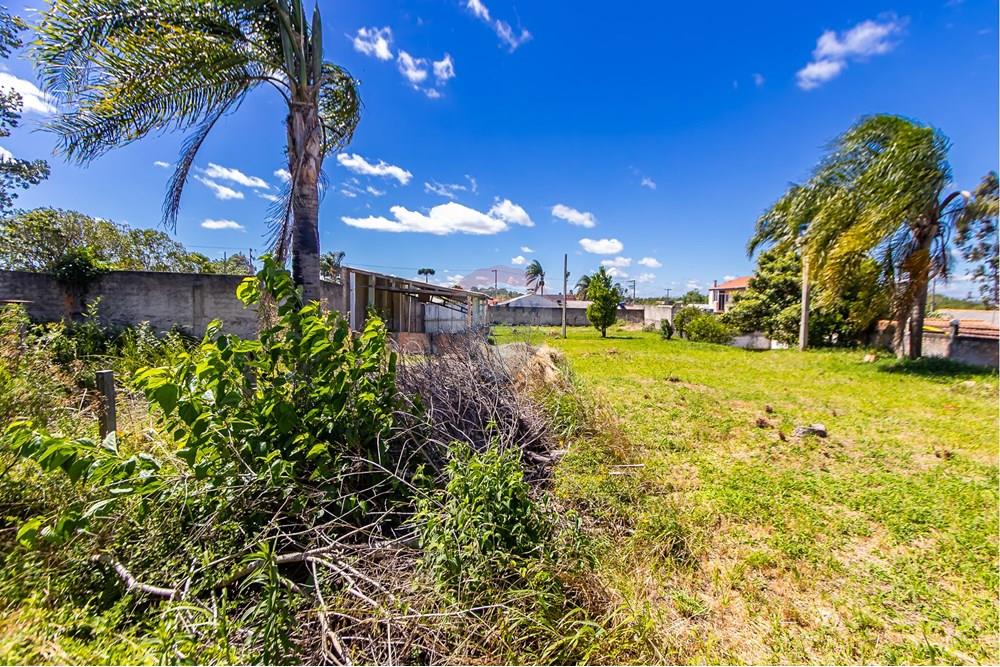 Terreno - Venda - São José dos Pinhais , Paraná - IMG_7261.JPG - 560391051-19