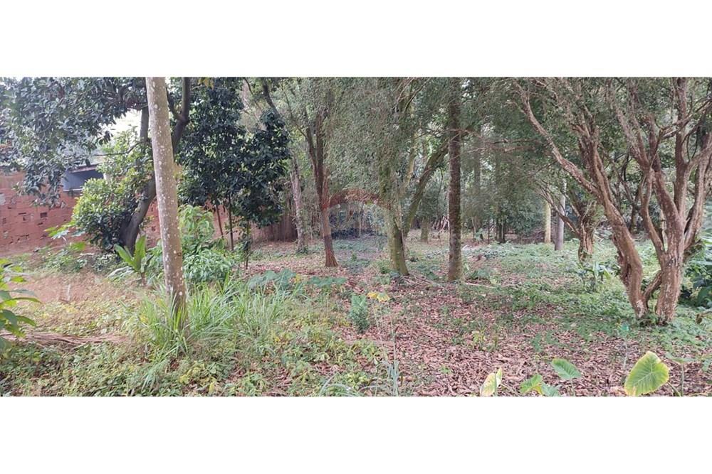 Terreno - Venda - São José dos Campos , São Paulo - WhatsApp Image 2025-10-31 at 12.39.00.jpeg - 560351004-91