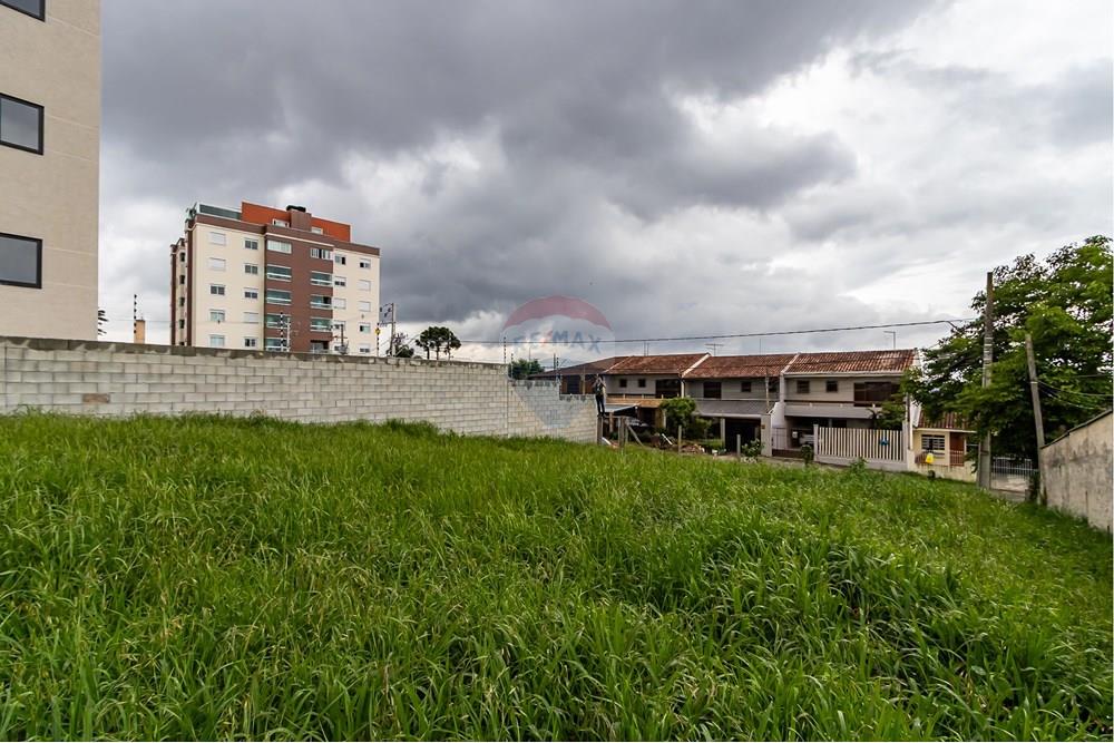 Terreno - Venda - Pinhais , Paraná - IMG_4913.jpg - 560311065-16