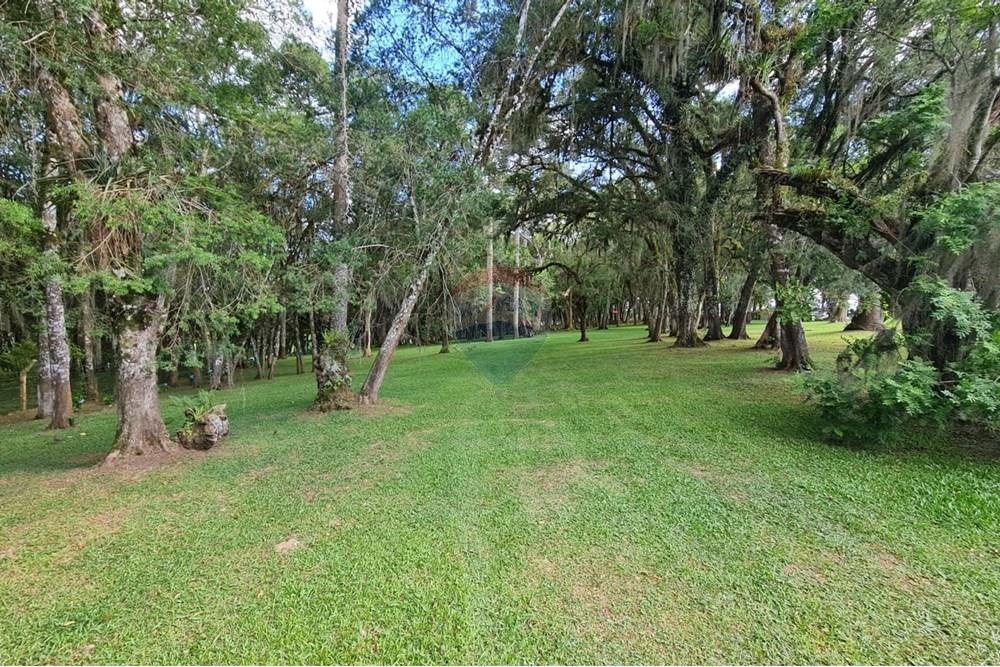 Casa Comercial - Alugar - São José dos Pinhais , Paraná - 05f83d5b-ead4-4e52-8569-4f5f344c1640.jpeg - 560331128-18