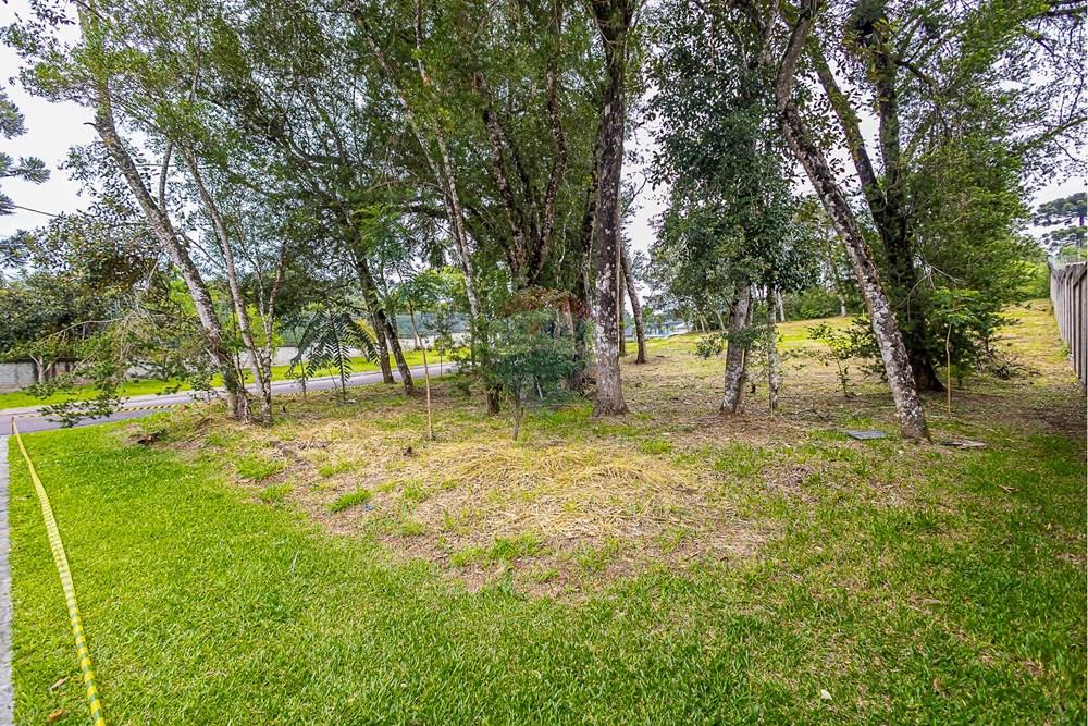 Terreno - Venda - Curitiba , Paraná - SHEEP - IMG_2551_1.jpg - 560341101-20