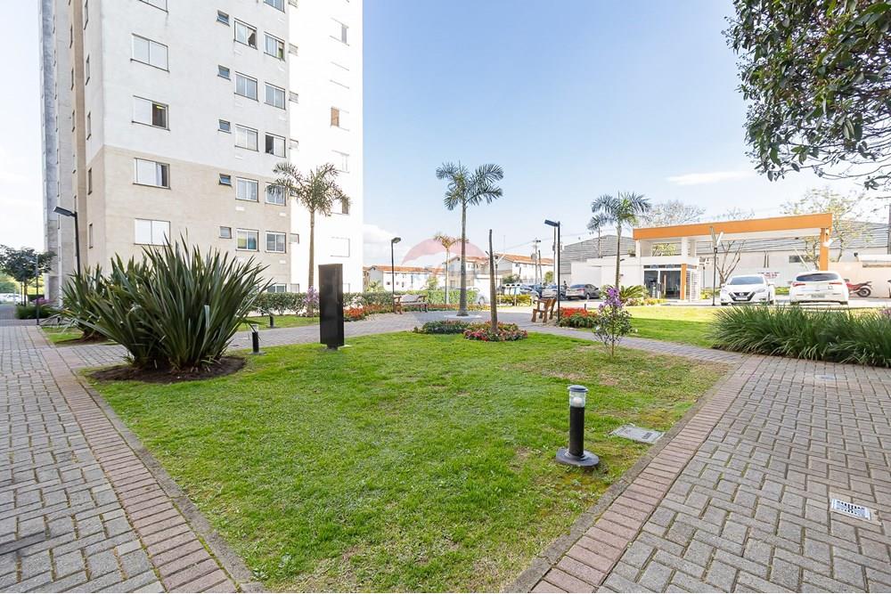 Apartamento - Alugar - Curitiba , Paraná - IMG_0769.jpg - 560251068-39