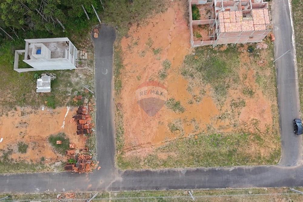 Terreno - Venda - Fazenda Rio Grande , Paraná - dji_fly_20251217_101314_0113_1766021515455_photo.jpg - 560321166-2