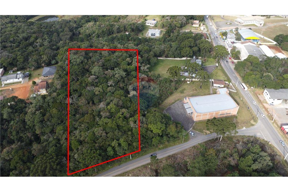 Terreno - Venda - São José dos Pinhais , Paraná - 2 - 560341114-47