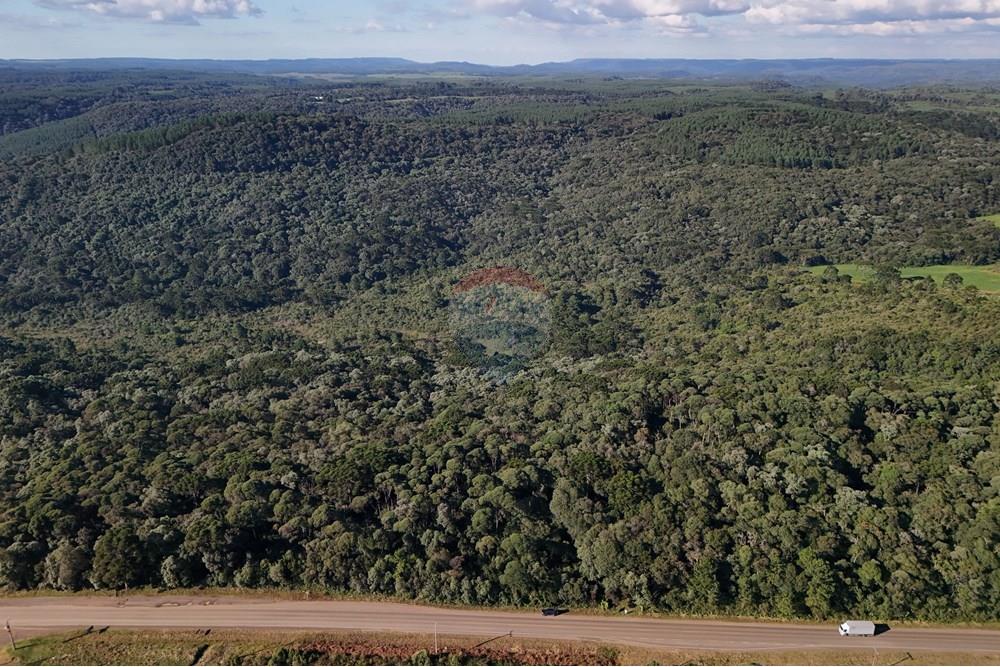 Terreno - Venda - Calmon , Santa Catarina - Vista Frontal.JPG - 560351109-12