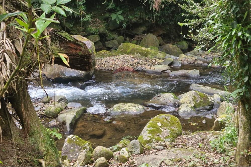 Chácara / Sítio / Fazenda - Venda - Guaratuba , Paraná - IMG-20251026-WA0036.jpg - 560321090-38