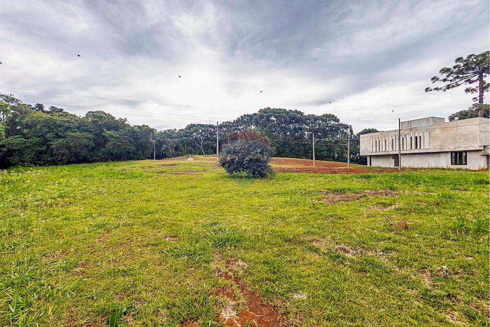 Terreno - Venda - Curitiba , Paraná - sheep - IMG_2573_1.jpg - 560341101-21
