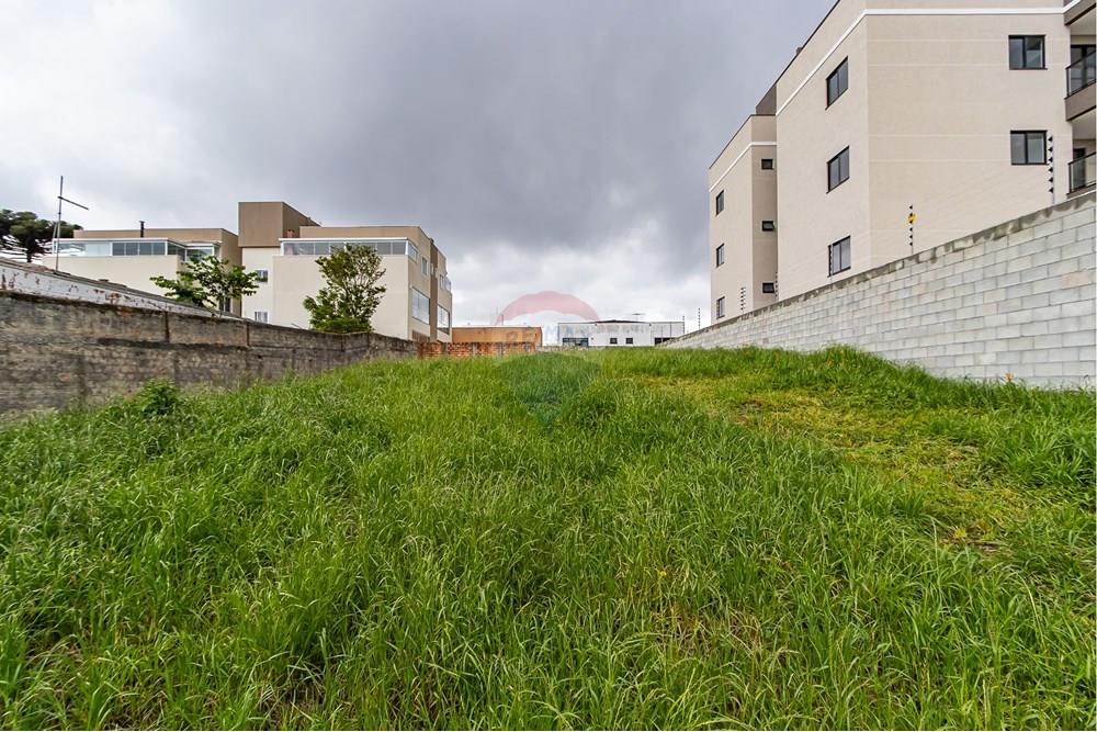 Terreno - Venda - Pinhais , Paraná - IMG_4906.jpg - 560311065-16