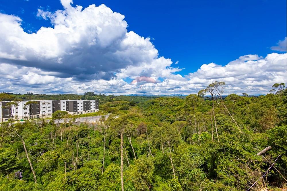 Apartamento - Venda - Almirante Tamandaré , Paraná - IMG_0117_1.jpg - 560391085-28