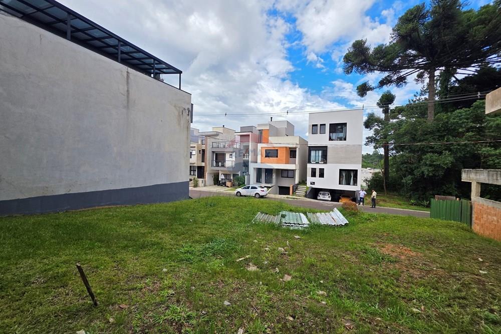 Terreno - Venda - Curitiba , Paraná - 20260212_170008.jpg - 560501001-16