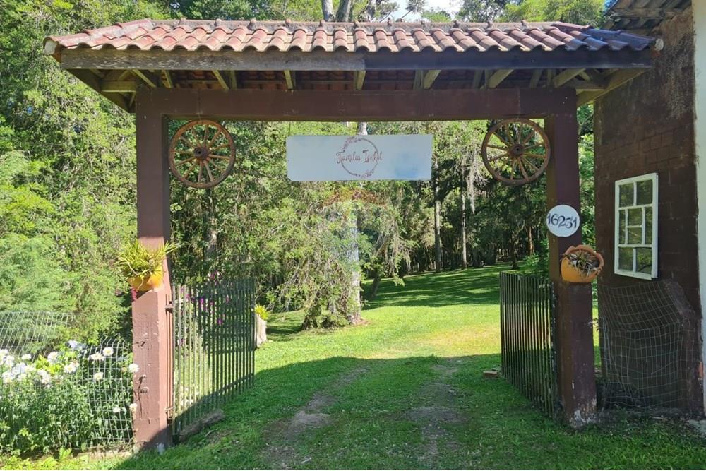 Casa Comercial - Alugar - São José dos Pinhais , Paraná - 6fd4d164-aa1a-453e-a18f-3ce86f8ac8b3.jpeg - 560331128-18