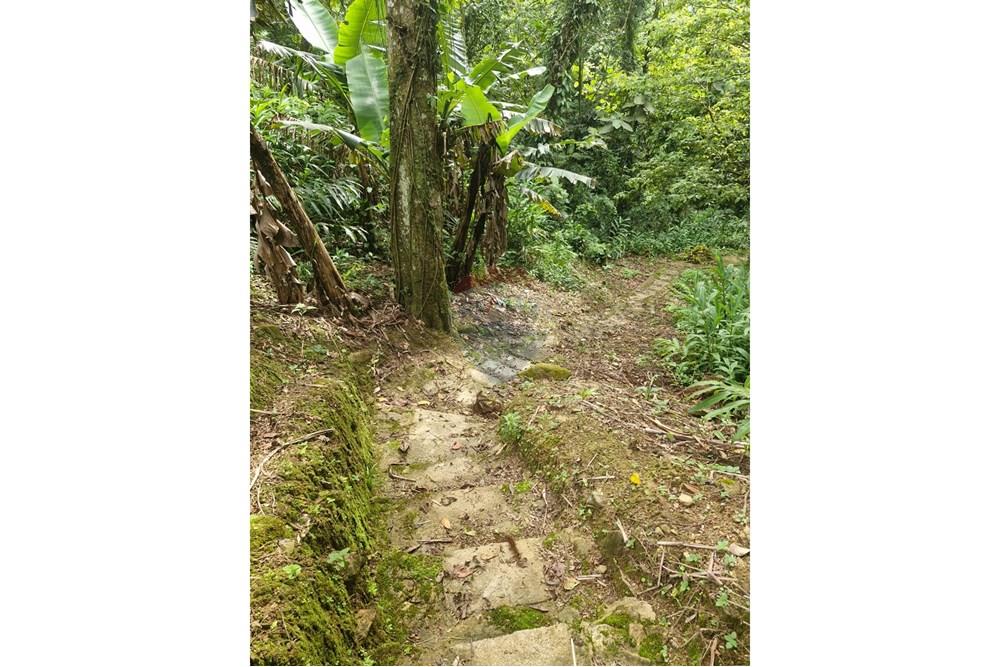 Chácara / Sítio / Fazenda - Venda - Guaratuba , Paraná - IMG-20251026-WA0042.jpg - 560321090-38