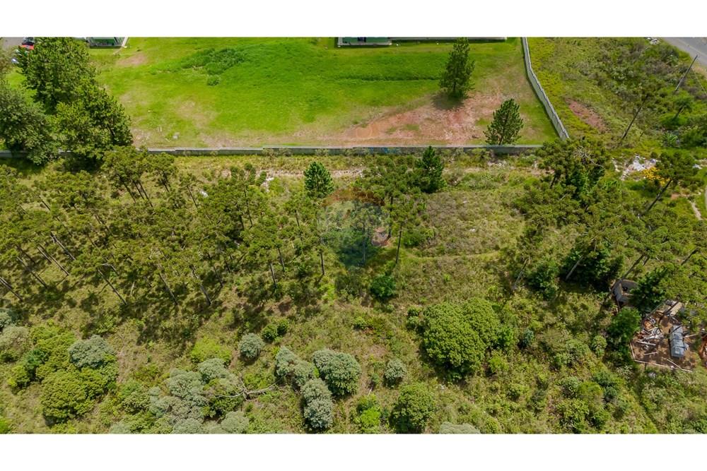 Terreno - Venda - São José dos Pinhais , Paraná - DJI_20250227132631_0557_D.jpg - 560351069-35