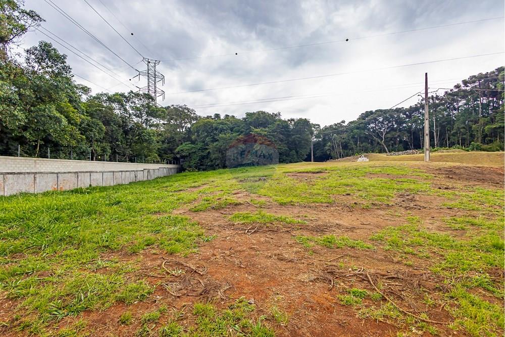Terreno - Venda - Curitiba , Paraná - sheep - IMG_2572_1.jpg - 560341101-21