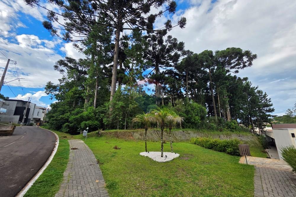 Terreno - Venda - Curitiba , Paraná - 20260212_171714.jpg - 560501001-16