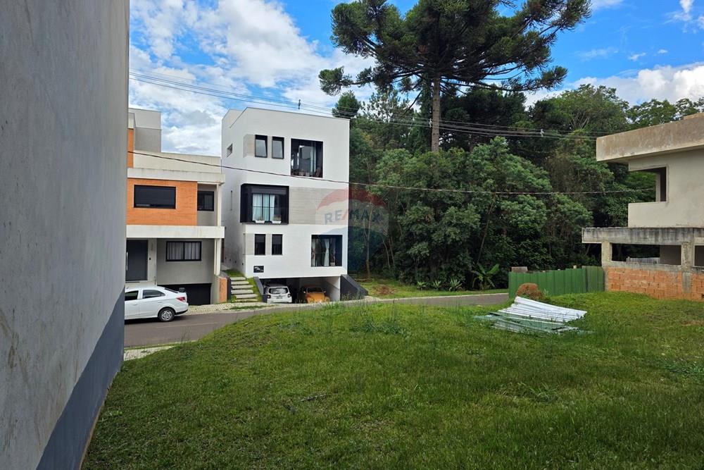 Terreno - Venda - Curitiba , Paraná - 20260212_165815.jpg - 560501001-16