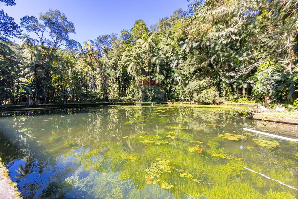 Chácara / Sítio / Fazenda - Venda - Antonina , Paraná - IMG_4796.jpg - 560411008-83
