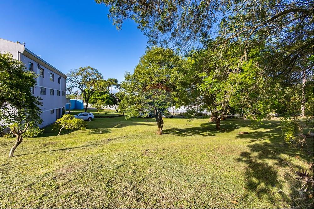 Terreno - Venda - Colombo , Paraná - IMG_9269.jpg - 560321090-43