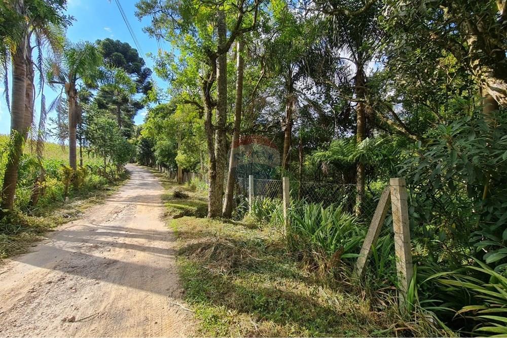 Galpão - Venda - São José dos Pinhais , Paraná - d0acaade-d06c-4de4-a6db-76d4ef574158.jpeg - 560331128-20