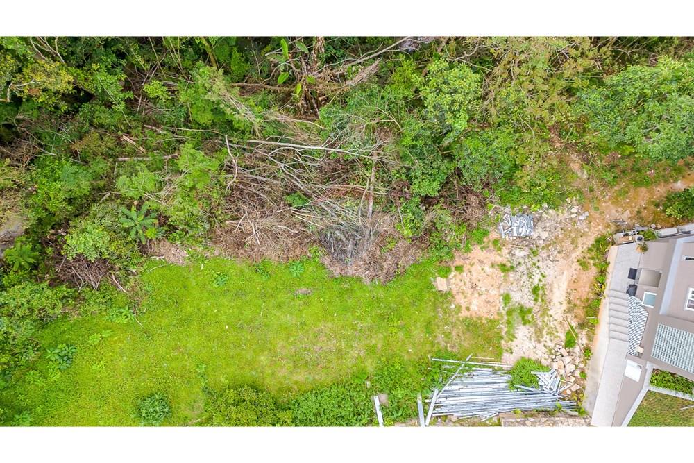 Terreno - Venda - Curitiba , Paraná - DJI_20251106100013_0007_D.jpg - 560321058-109