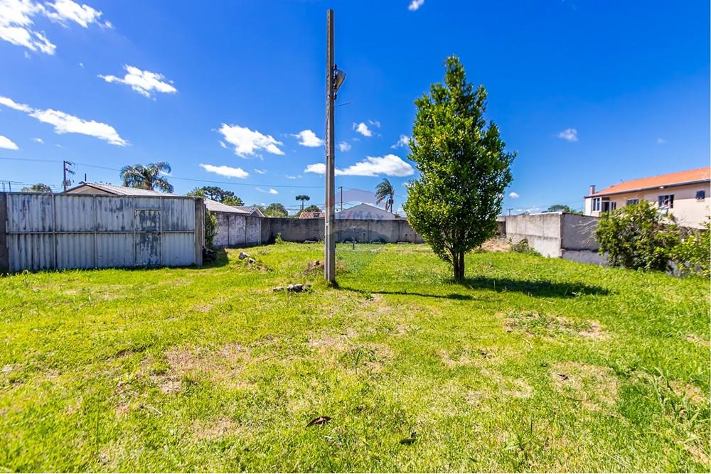 Terreno - Venda - São José dos Pinhais , Paraná - IMG_7256.JPG - 560391051-19