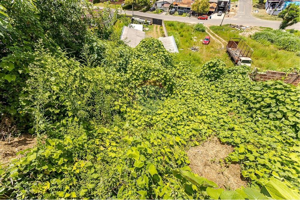 Terreno - Venda - Curitiba , Paraná - IMG_0004.jpg - 560321145-6